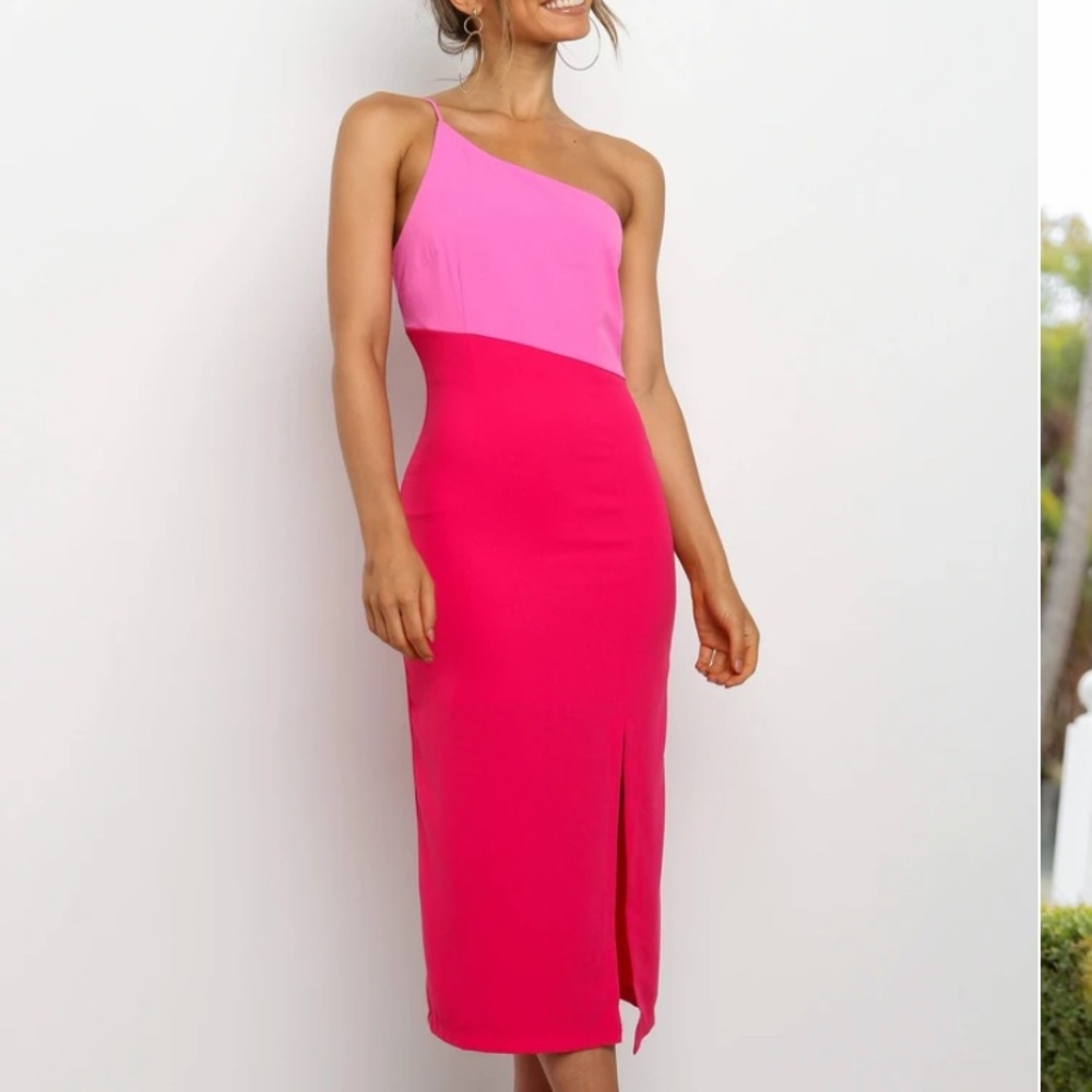 Petal and Pup Xiomar Dress